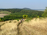 Patak 